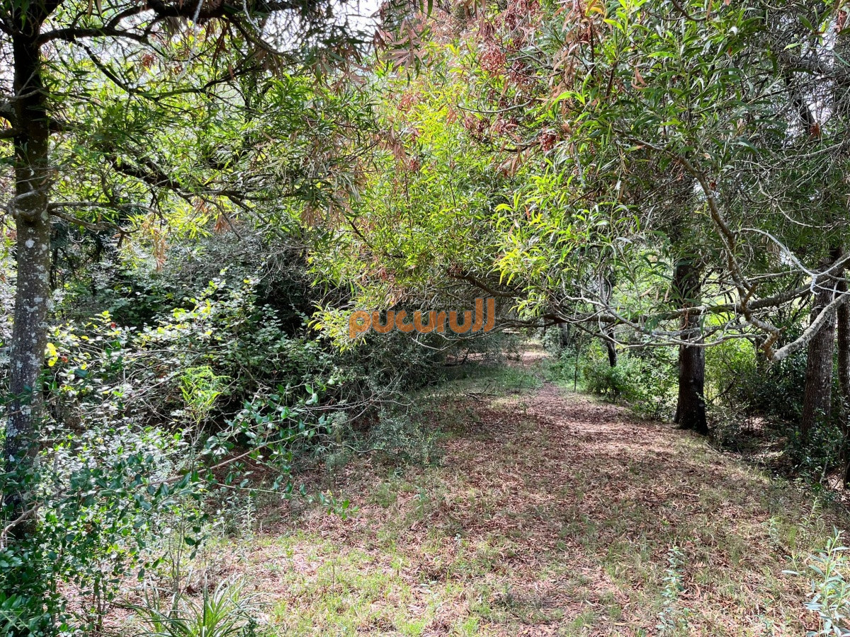 Chacra ID.2122 - Chacra de 7 hectáreas próxima a Lapataia