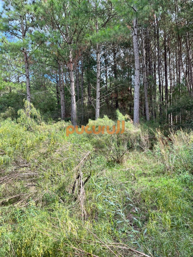 Chacra ID.2122 - Chacra de 7 hectáreas próxima a Lapataia