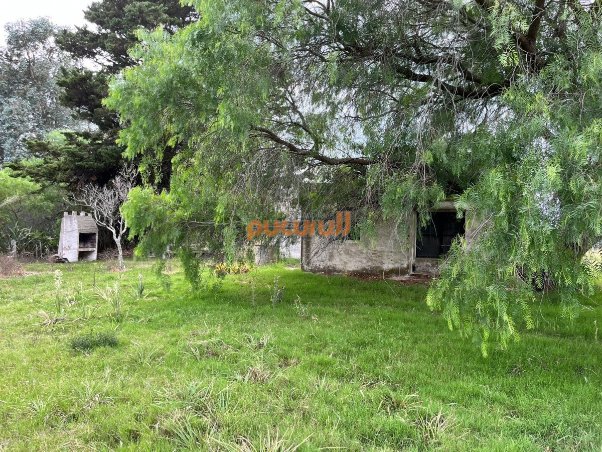 Chacra ID.2122 - Chacra de 7 hectáreas próxima a Lapataia