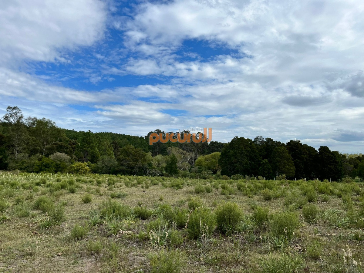 Chacra ID.2122 - Chacra de 7 hectáreas próxima a Lapataia