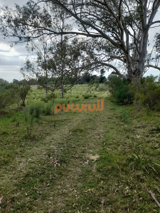 Chacra ID.2122 - Chacra de 7 hectáreas próxima a Lapataia