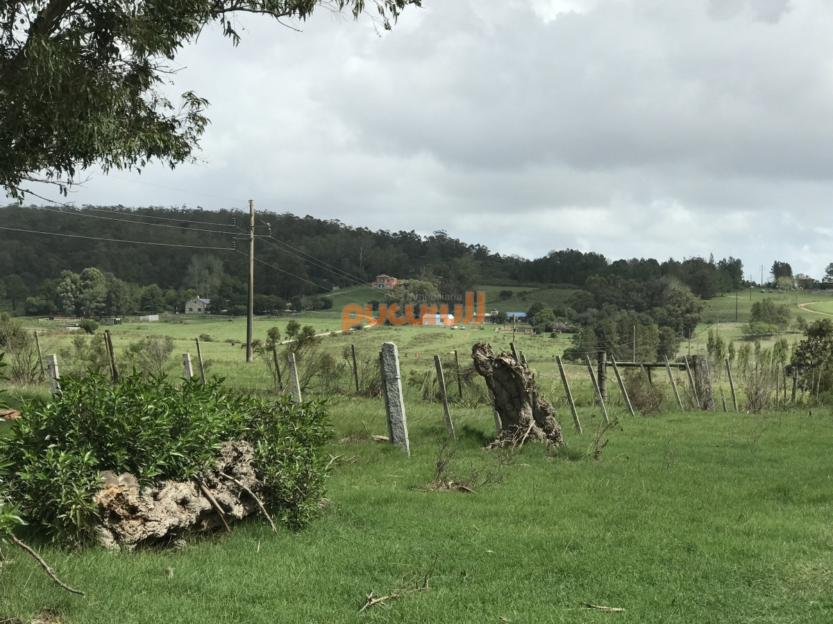 Chacra ID.2122 - Chacra de 7 hectáreas próxima a Lapataia