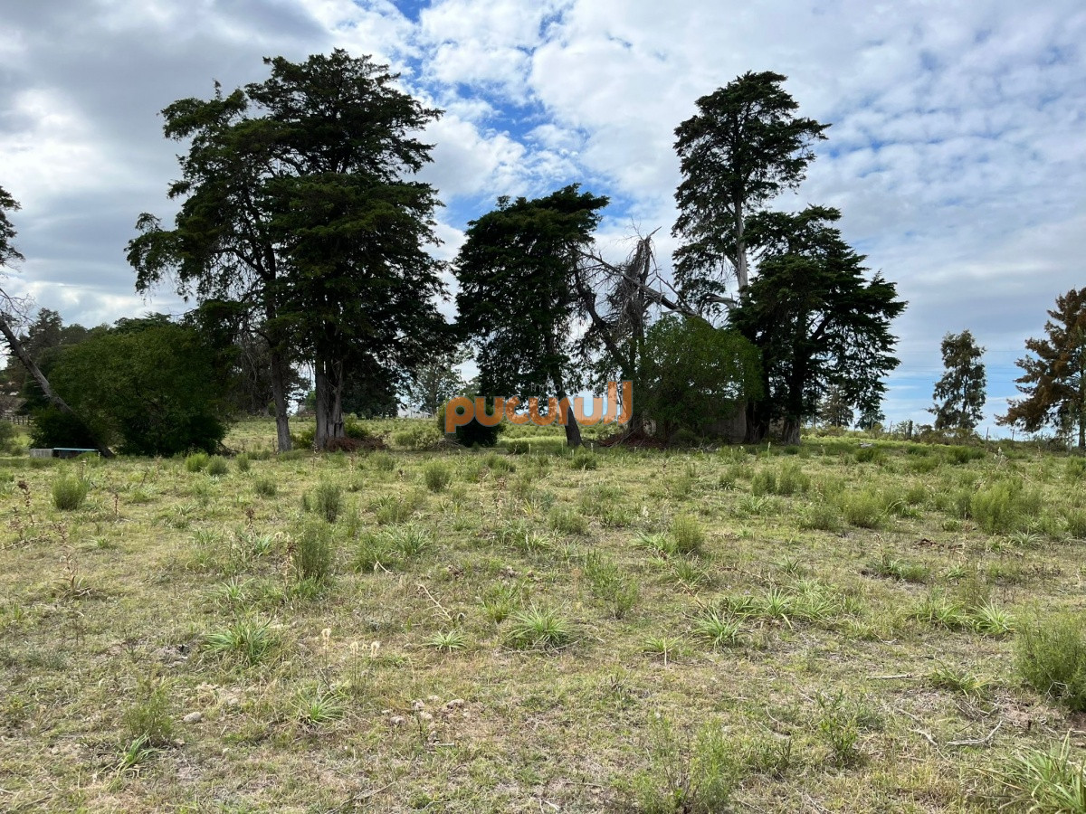 Chacra ID.2122 - Chacra de 7 hectáreas próxima a Lapataia