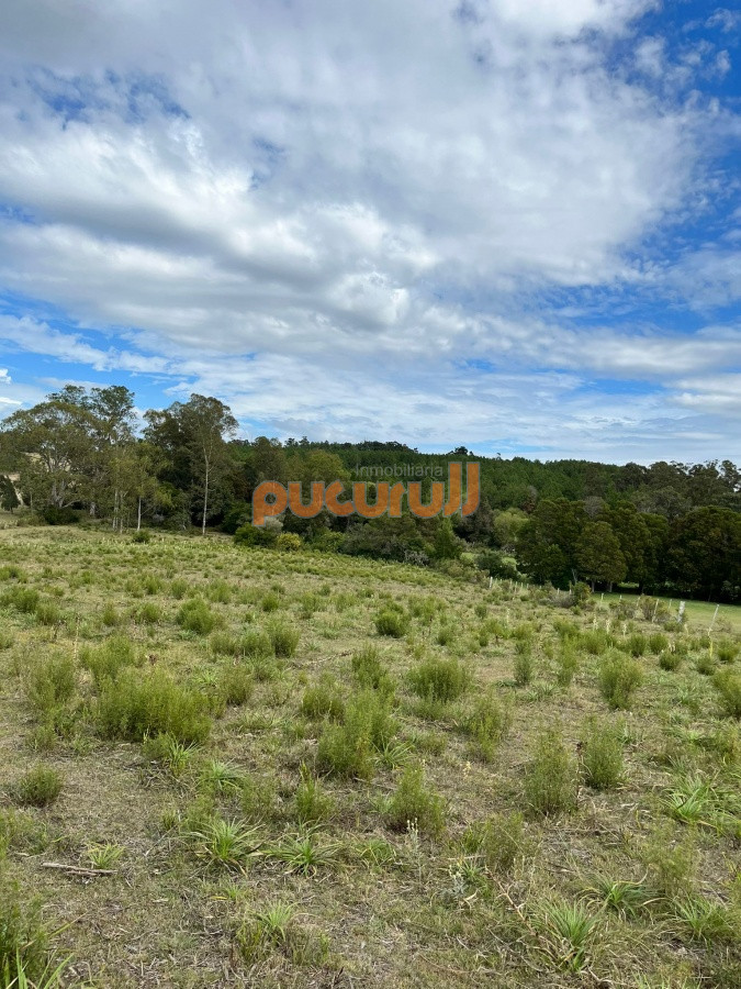 Chacra ID.2122 - Chacra de 7 hectáreas próxima a Lapataia