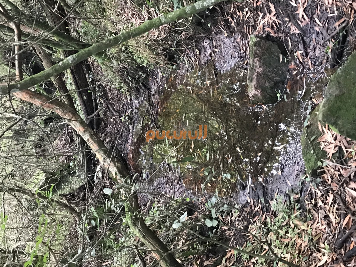 Chacra ID.2122 - Chacra de 7 hectáreas próxima a Lapataia