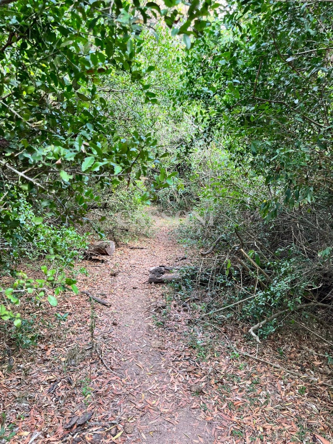 Chacra ID.3655 - Chacra de 7 hectáreas próxima a Lapataia