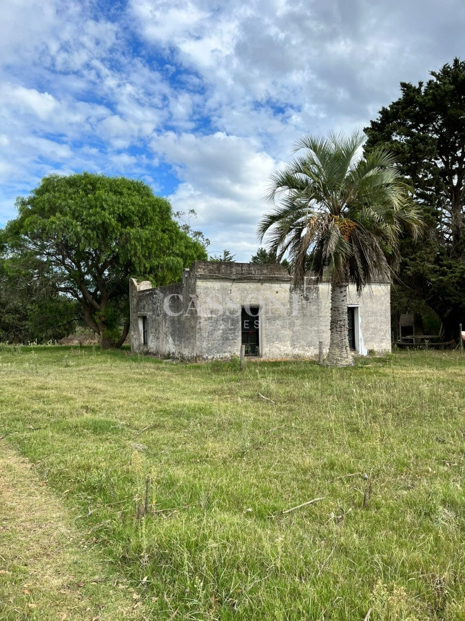 Chacra ID.3655 - Chacra de 7 hectáreas próxima a Lapataia