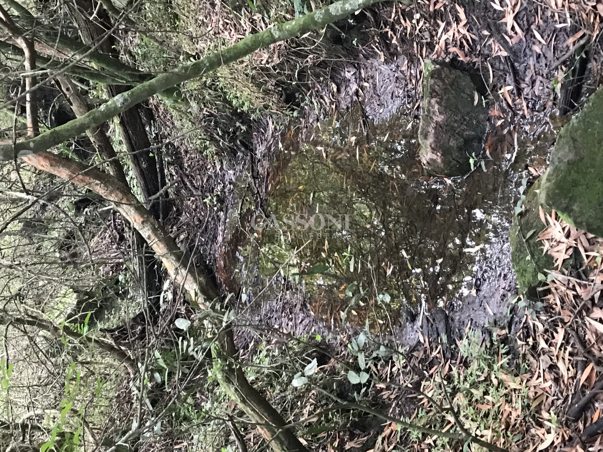 Chacra ID.3655 - Chacra de 7 hectáreas próxima a Lapataia