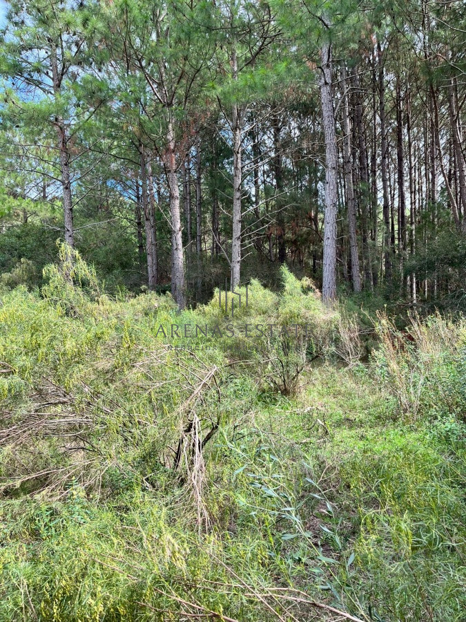 Chacra ID.945 - Chacra de 7 hectáreas próxima a Lapataia