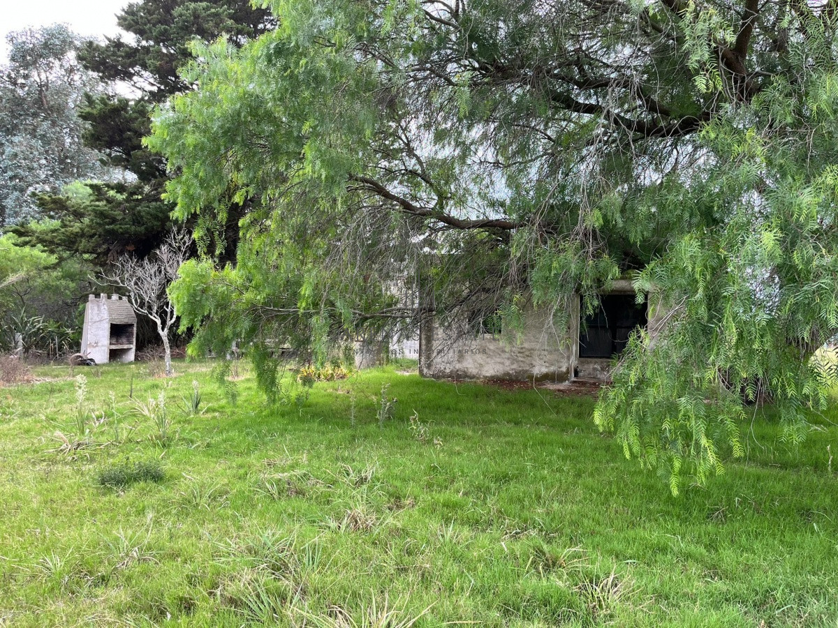 Chacra ID.945 - Chacra de 7 hectáreas próxima a Lapataia