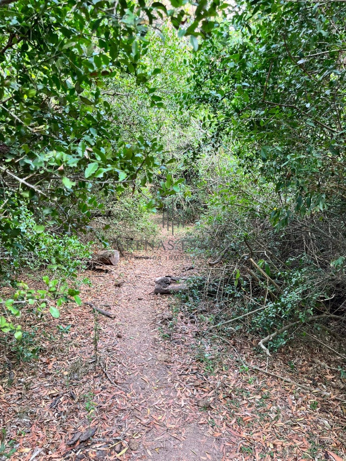 Chacra ID.945 - Chacra de 7 hectáreas próxima a Lapataia