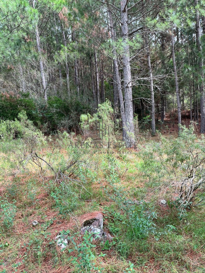 Chacra ID.945 - Chacra de 7 hectáreas próxima a Lapataia