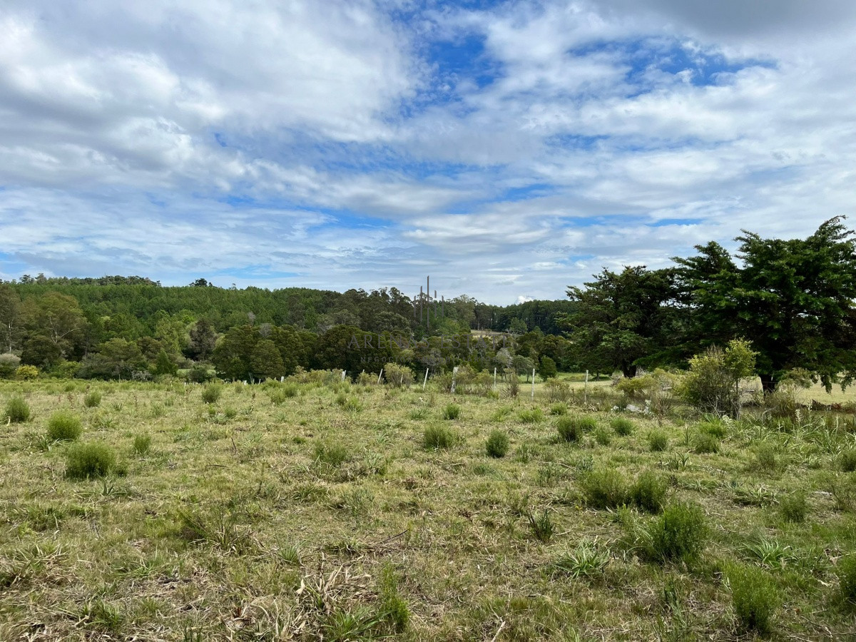 Chacra ID.945 - Chacra de 7 hectáreas próxima a Lapataia