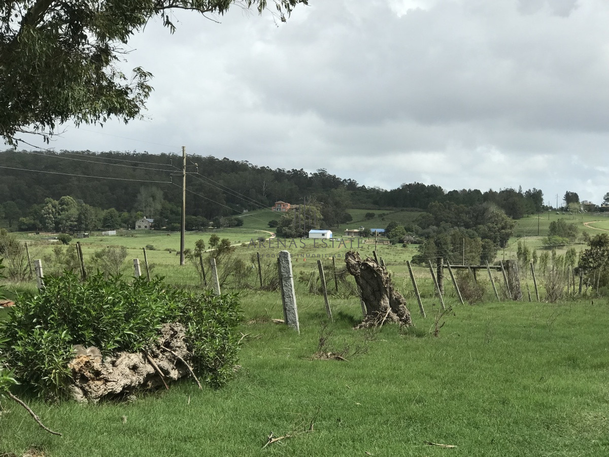 Chacra ID.945 - Chacra de 7 hectáreas próxima a Lapataia