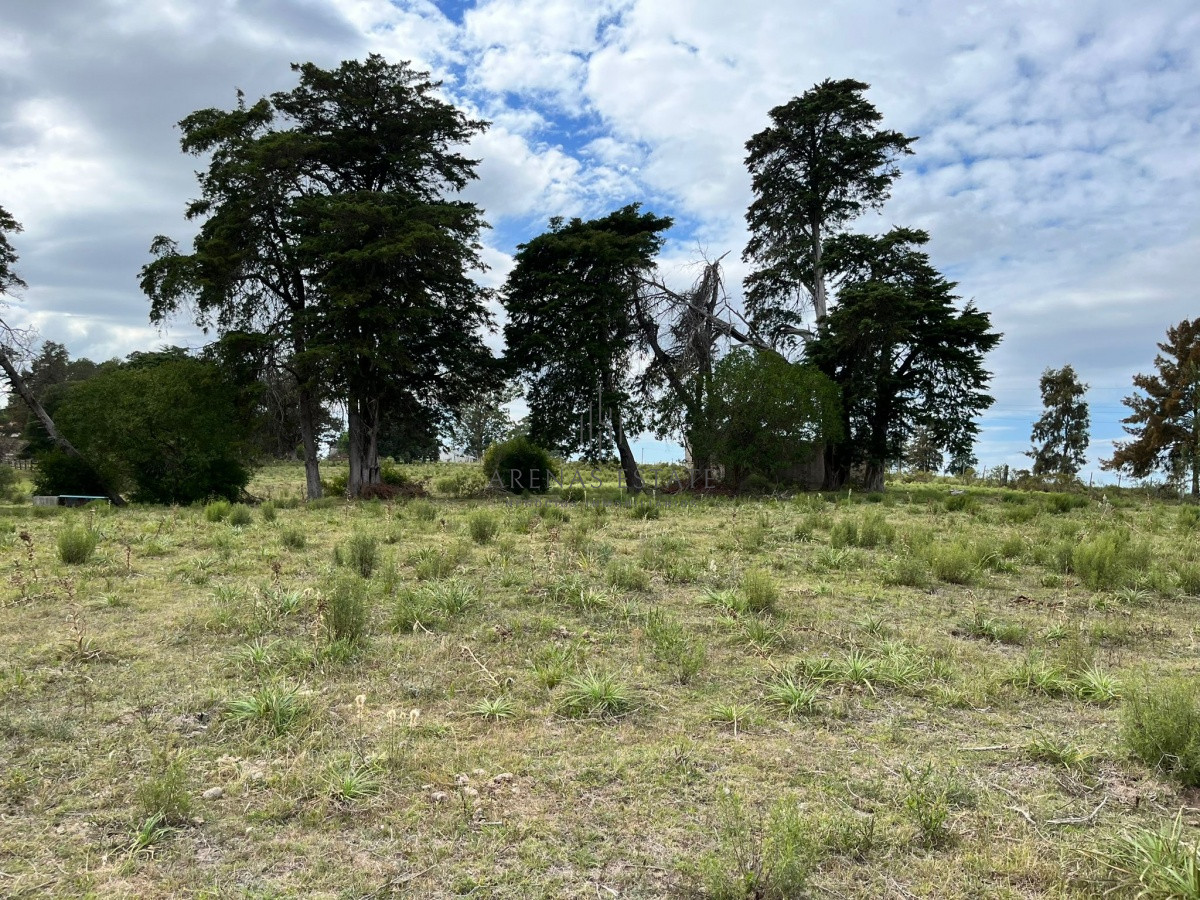 Chacra ID.945 - Chacra de 7 hectáreas próxima a Lapataia