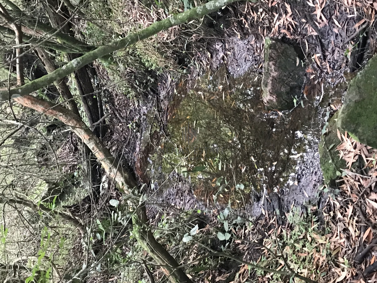 Chacra ID.945 - Chacra de 7 hectáreas próxima a Lapataia