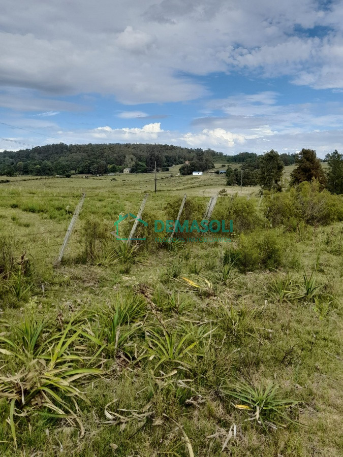 Chacra ID.790 - Chacra de 7 hectáreas próxima a Lapataia