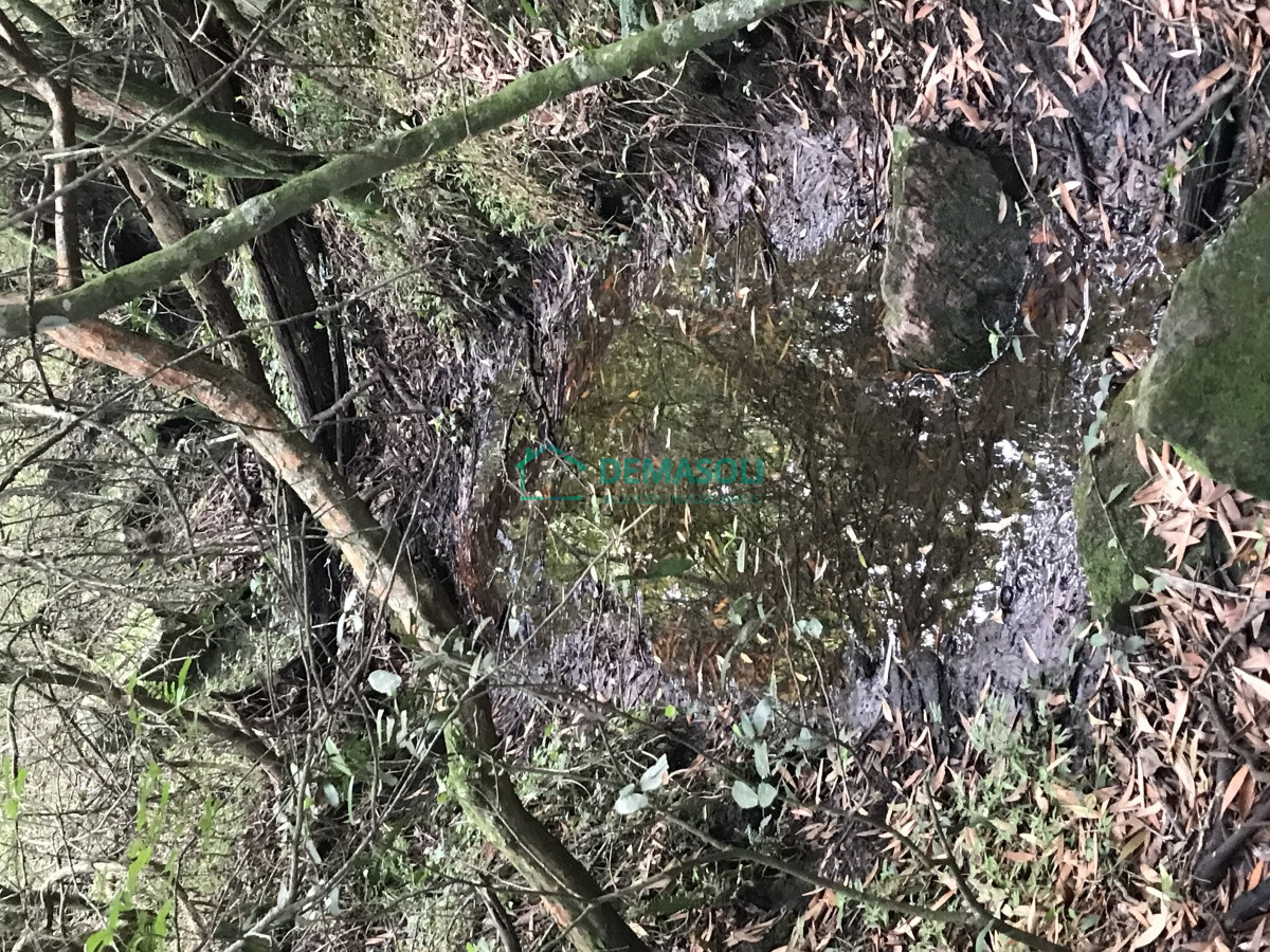 Chacra ID.790 - Chacra de 7 hectáreas próxima a Lapataia