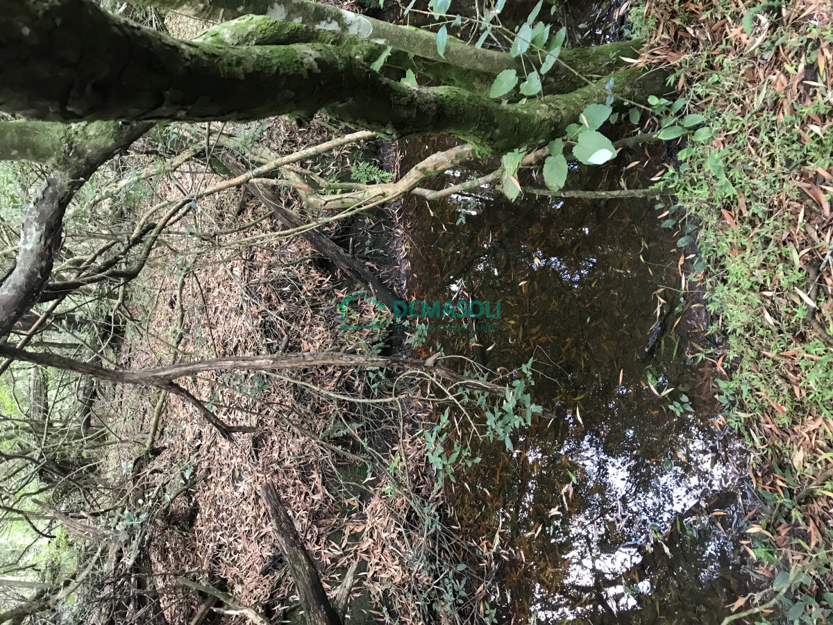 Chacra ID.790 - Chacra de 7 hectáreas próxima a Lapataia