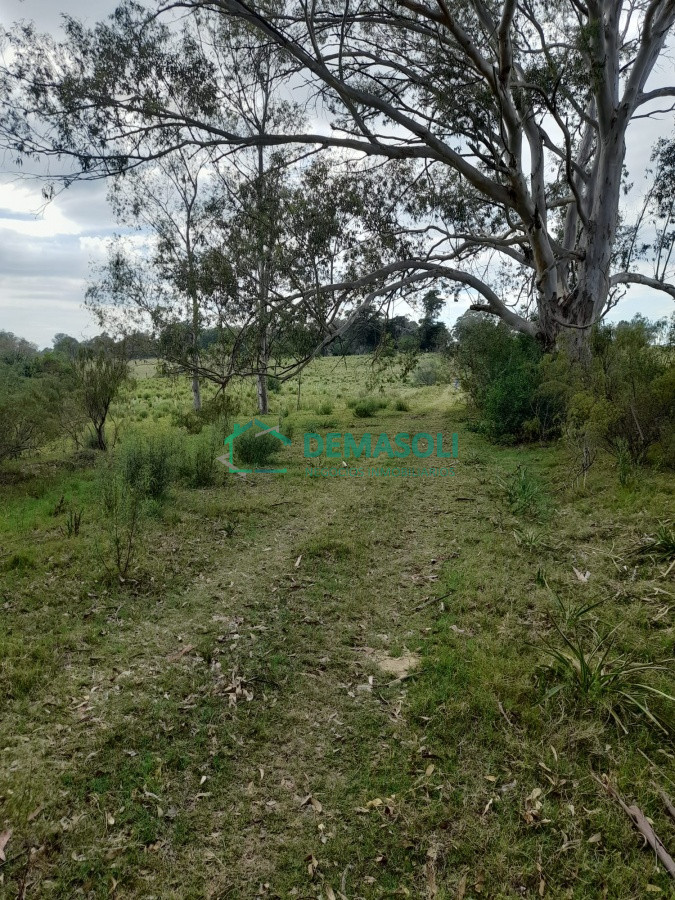 Chacra ID.790 - Chacra de 7 hectáreas próxima a Lapataia