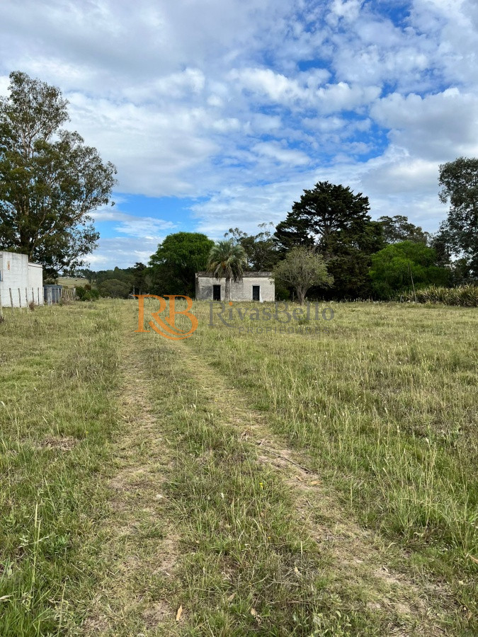 Chacra ID.124 - Chacra de 7 hectáreas próxima a Lapataia