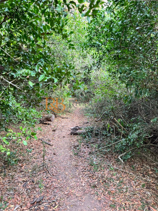 Chacra ID.124 - Chacra de 7 hectáreas próxima a Lapataia