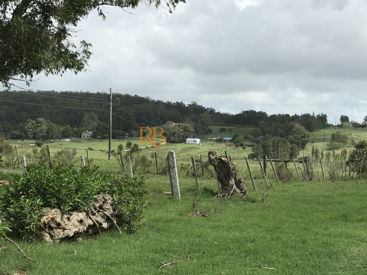 Chacra ID.124 - Chacra de 7 hectáreas próxima a Lapataia
