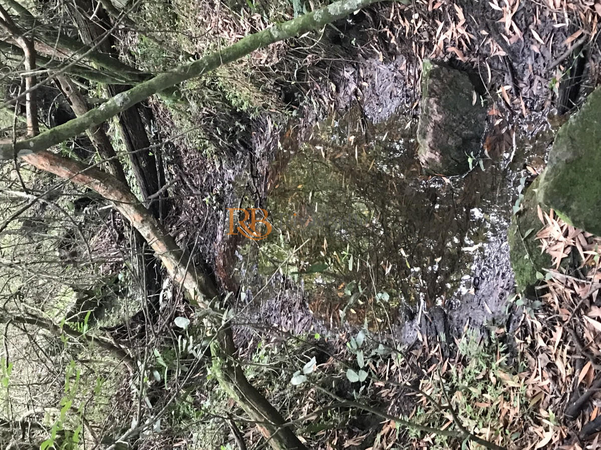 Chacra ID.124 - Chacra de 7 hectáreas próxima a Lapataia