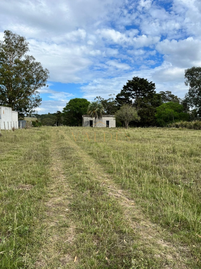 Chacra ID.2071 - Chacra de 7 hectáreas próxima a Lapataia