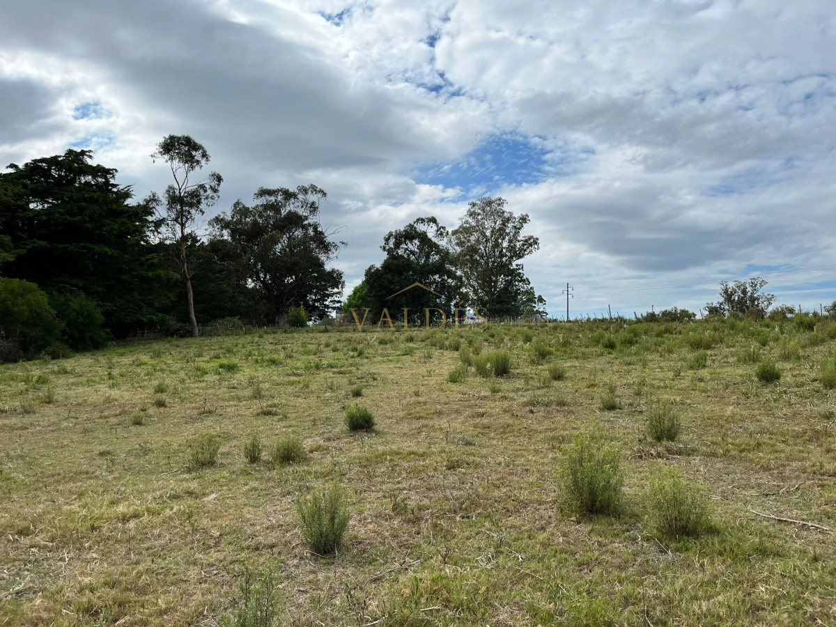 Chacra ID.2071 - Chacra de 7 hectáreas próxima a Lapataia