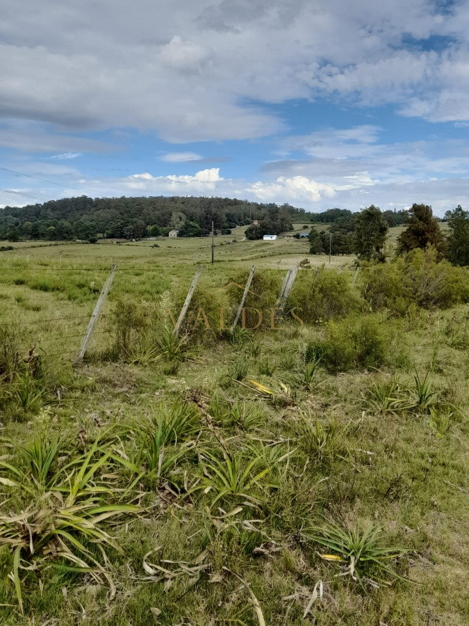 Chacra ID.2071 - Chacra de 7 hectáreas próxima a Lapataia