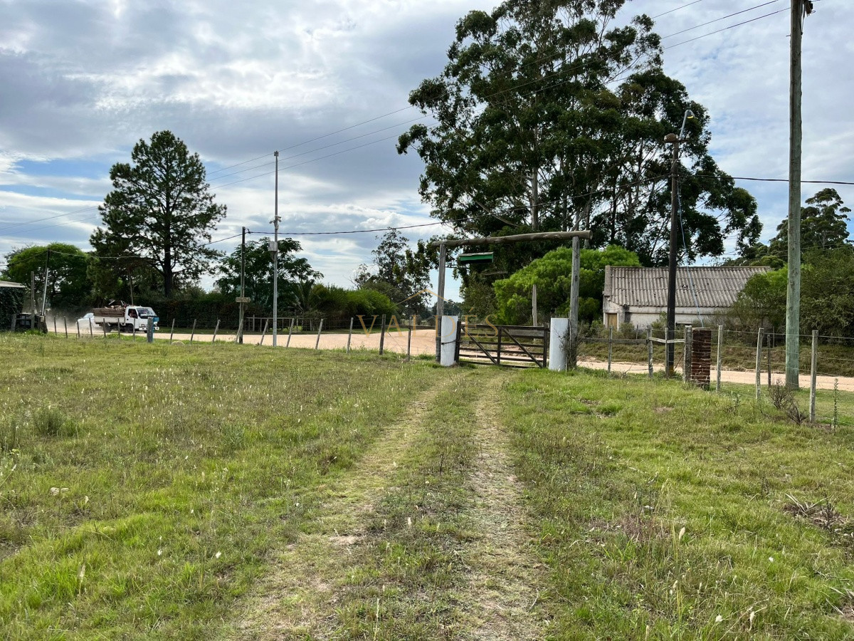 Chacra ID.2071 - Chacra de 7 hectáreas próxima a Lapataia