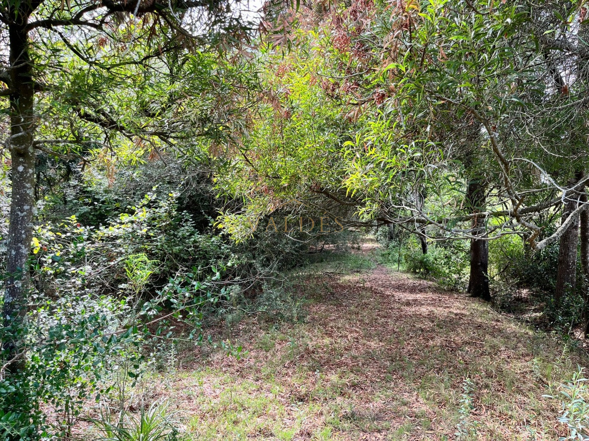 Chacra ID.2071 - Chacra de 7 hectáreas próxima a Lapataia