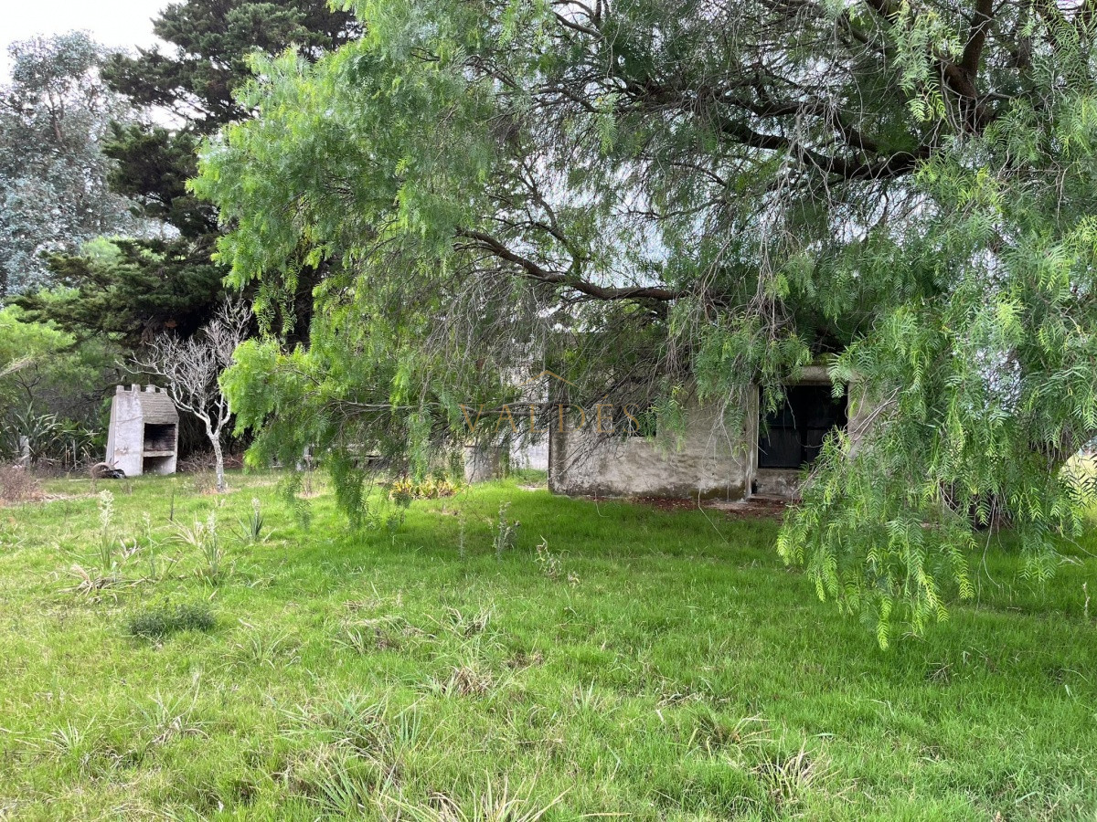 Chacra ID.2071 - Chacra de 7 hectáreas próxima a Lapataia