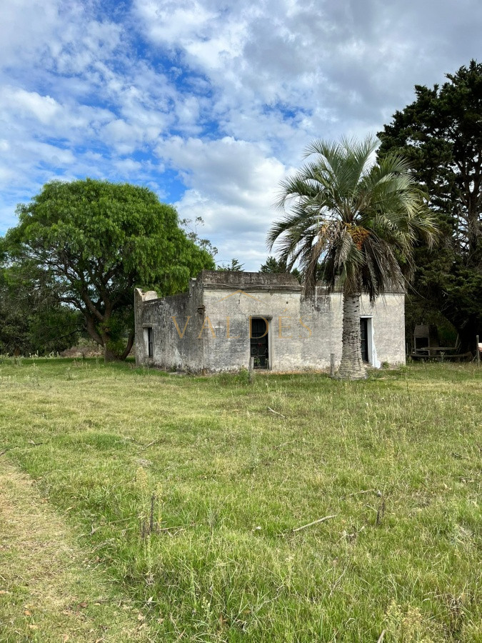 Chacra ID.2071 - Chacra de 7 hectáreas próxima a Lapataia