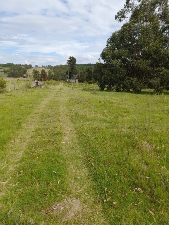 Chacra ID.2071 - Chacra de 7 hectáreas próxima a Lapataia