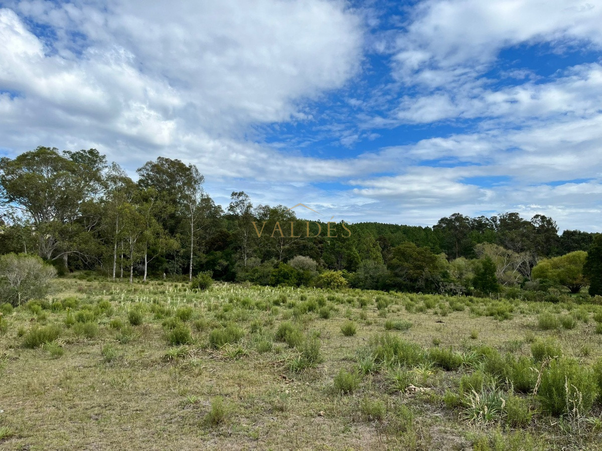 Chacra ID.2071 - Chacra de 7 hectáreas próxima a Lapataia