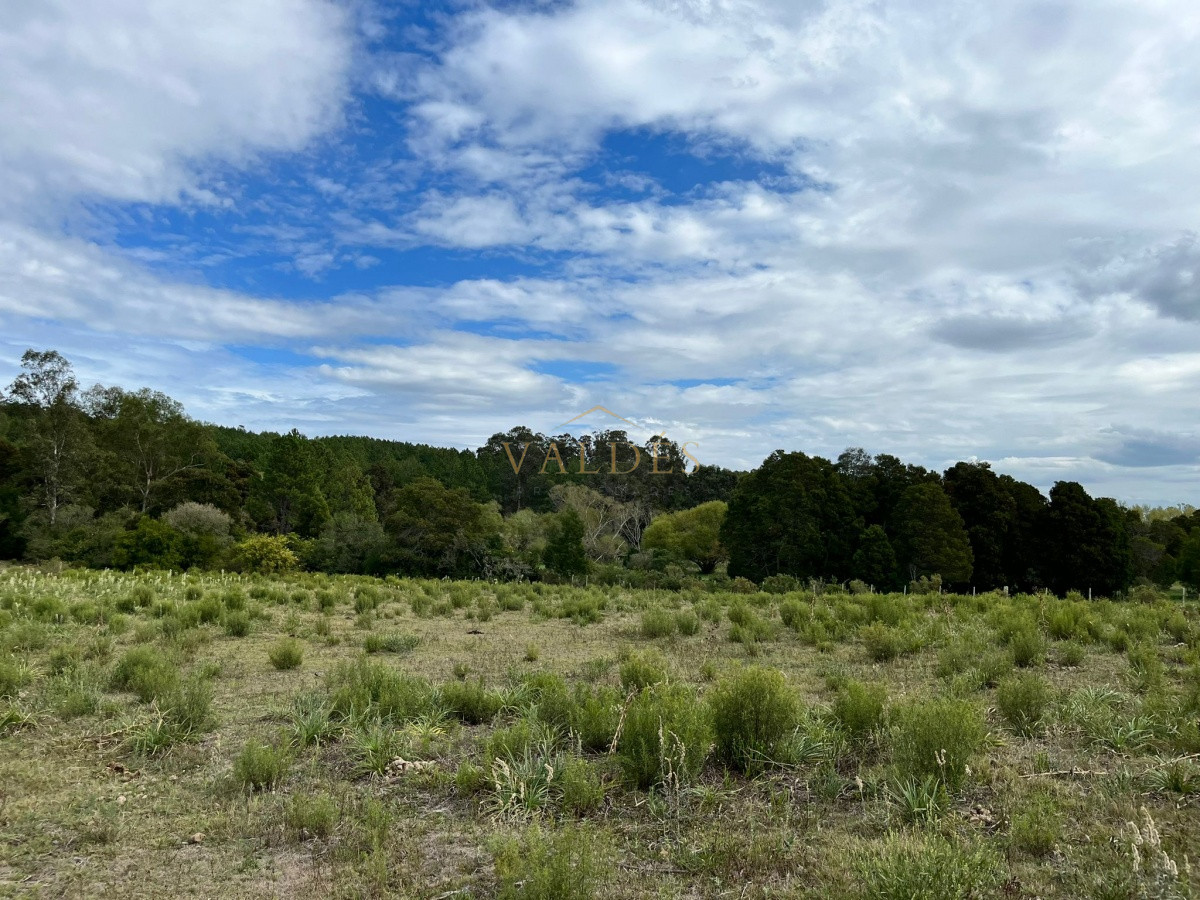 Chacra ID.2071 - Chacra de 7 hectáreas próxima a Lapataia