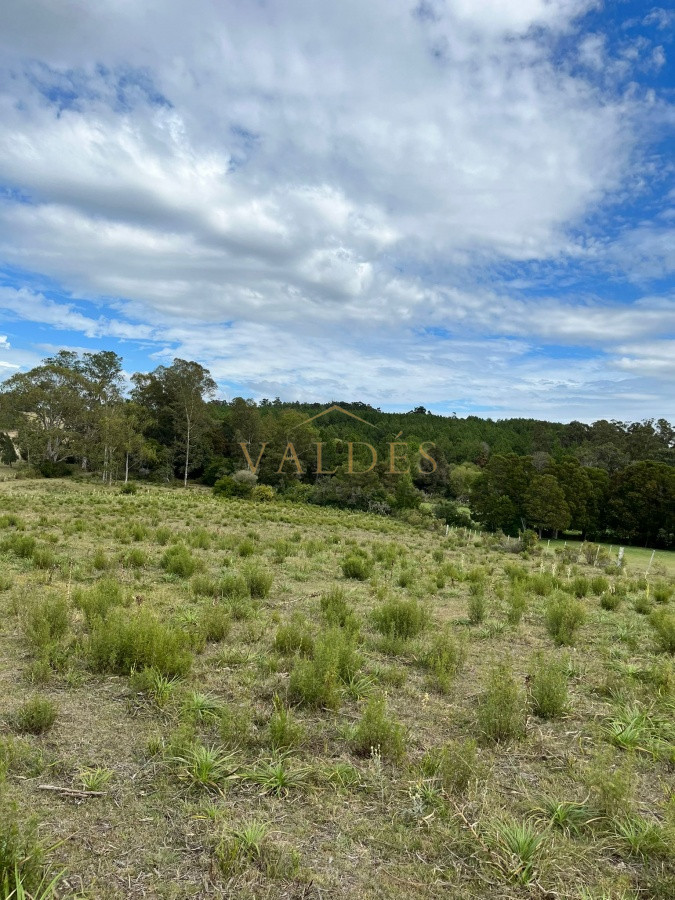Chacra ID.2071 - Chacra de 7 hectáreas próxima a Lapataia