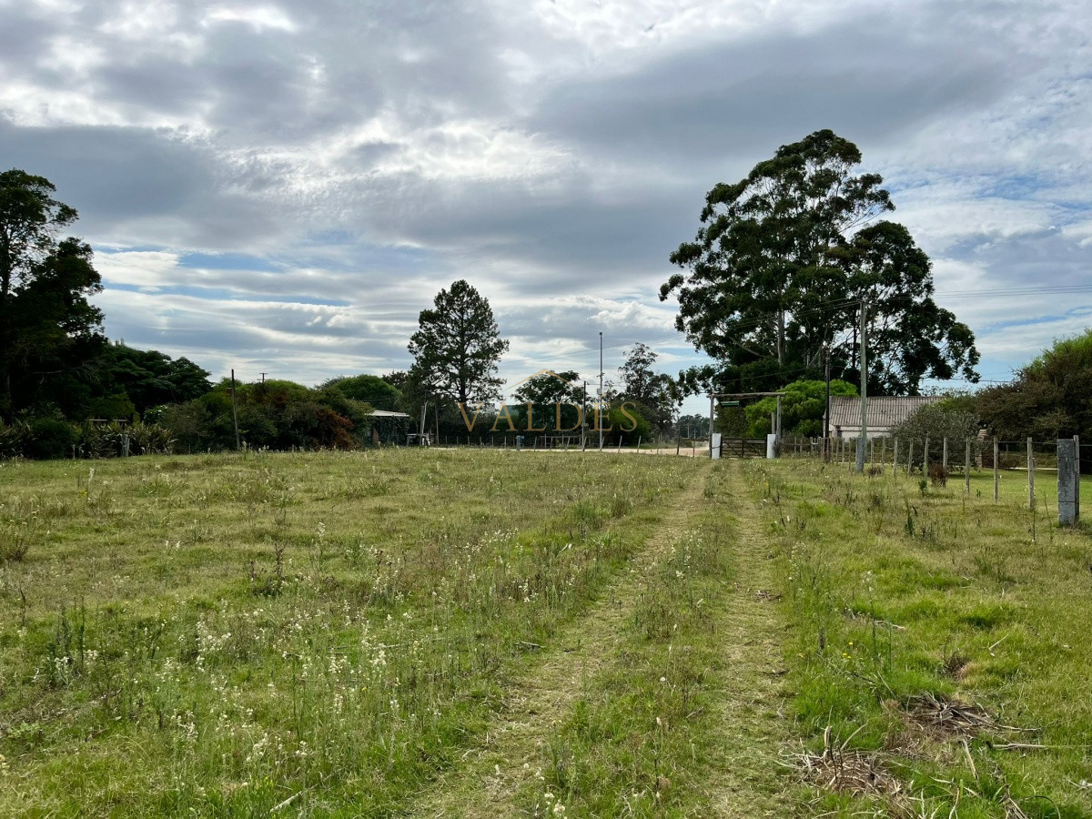 Chacra ID.2071 - Chacra de 7 hectáreas próxima a Lapataia