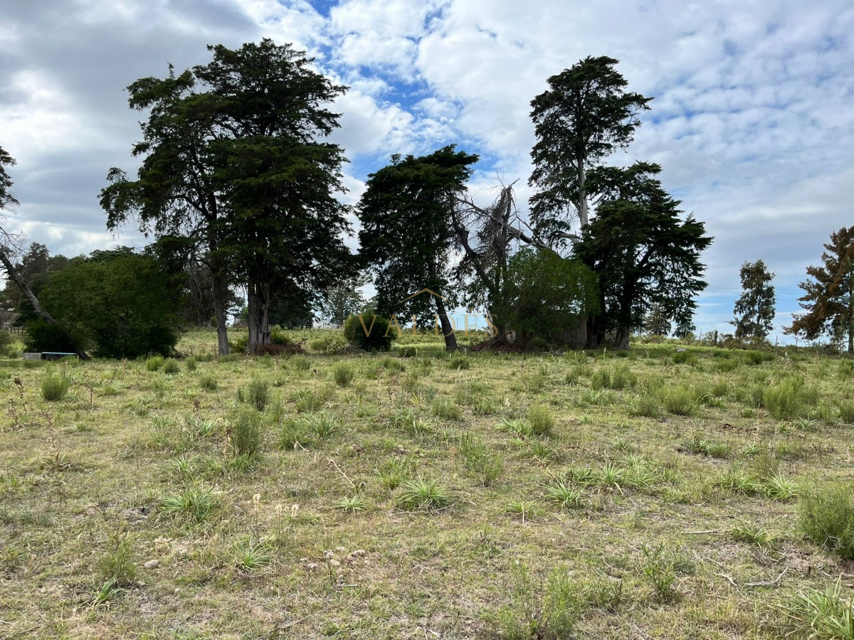 Chacra ID.2071 - Chacra de 7 hectáreas próxima a Lapataia