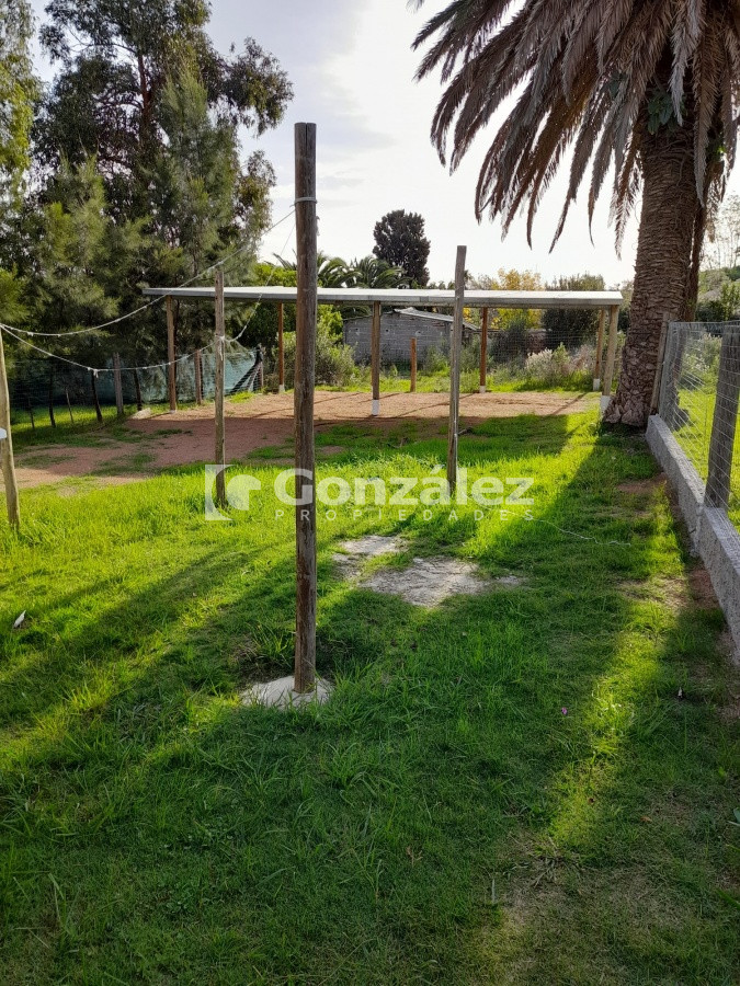 Apartamento ID.630 - Apartamento en alquiler anual 