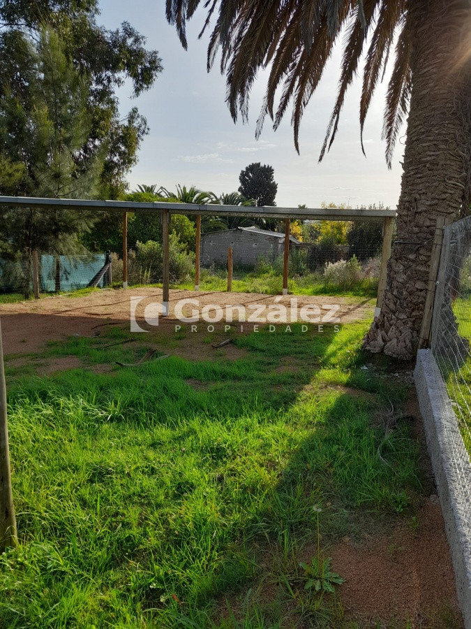 Apartamento ID.630 - Apartamento en alquiler anual 