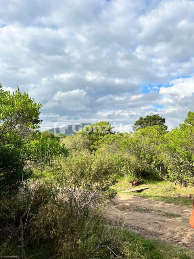 Playa Hermosa - GoPunta - Portal Inmobiliario de Punta del Este - Maldonado