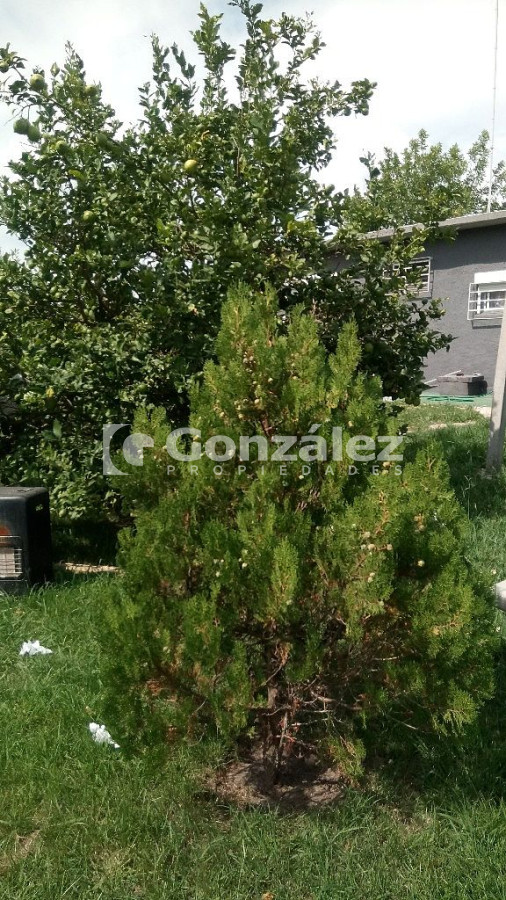 Casa ID.190 - Calle Sanabria entre Cl. 15 y Cl. 16