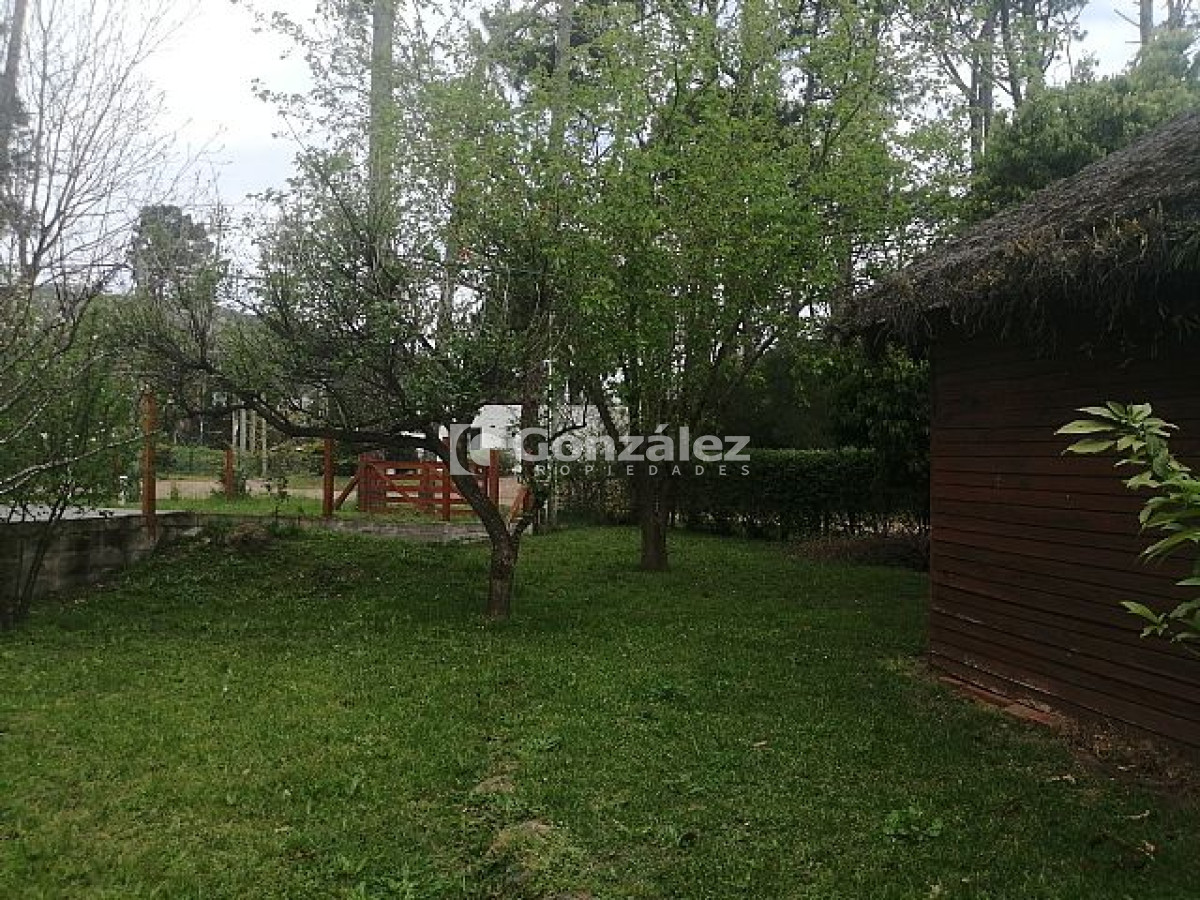 Casa ID.199 - Montecarlo Y Sorrento