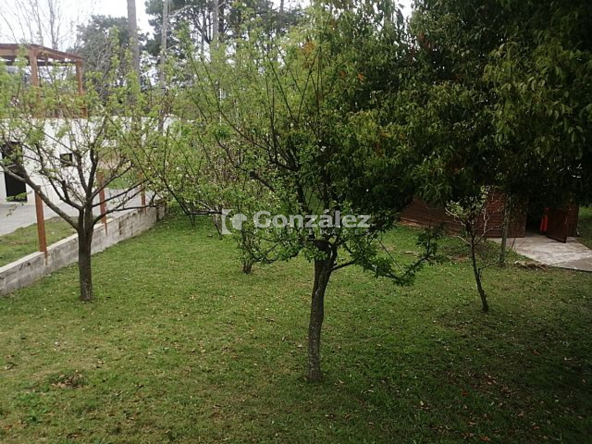 Casa ID.199 - Montecarlo Y Sorrento