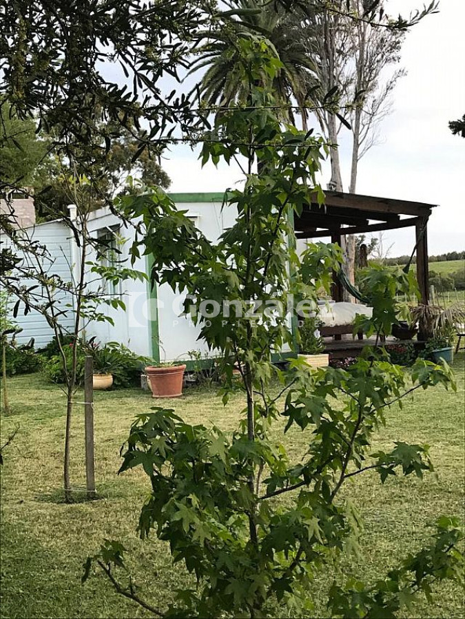 Casa ID.216 - Casa en Nueva Carrara 