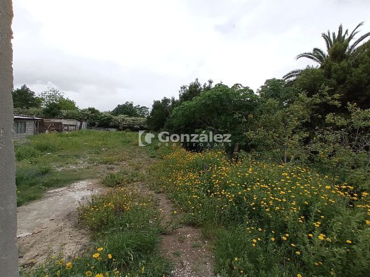 Casa ID.182 - Fco. Bonilla entre C.Silva y F.Sanchez