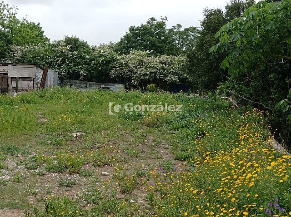 Casa ID.182 - Fco. Bonilla entre C.Silva y F.Sanchez